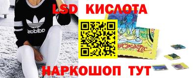 прущие грибы Кулебаки