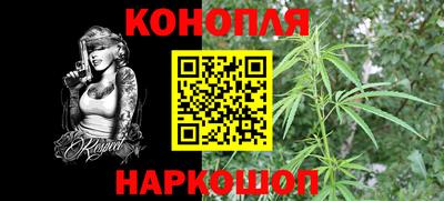 apvp Кунгур