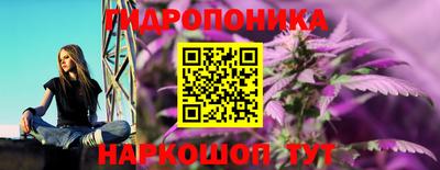 apvp Кунгур